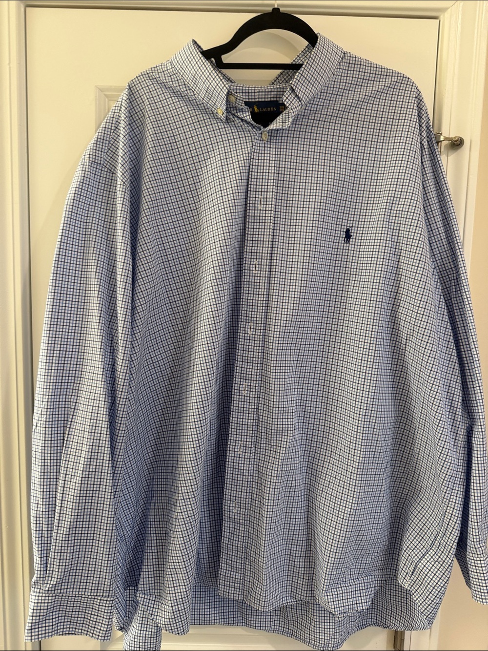Ralph Lauren Light Blue and White Micro-Check Button-Down Shirt
